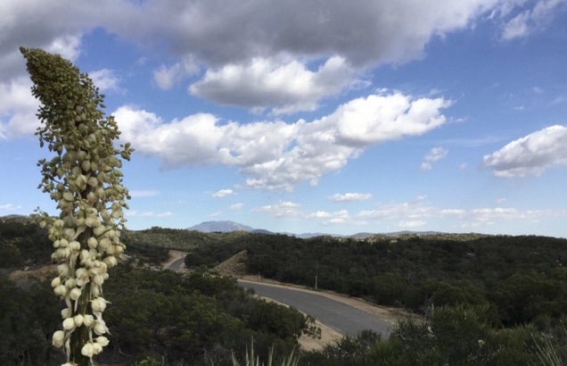 THOMAS MOUNTAIN RANCHS 30 MILES FROM PALM DESERT, HIGH DESERT